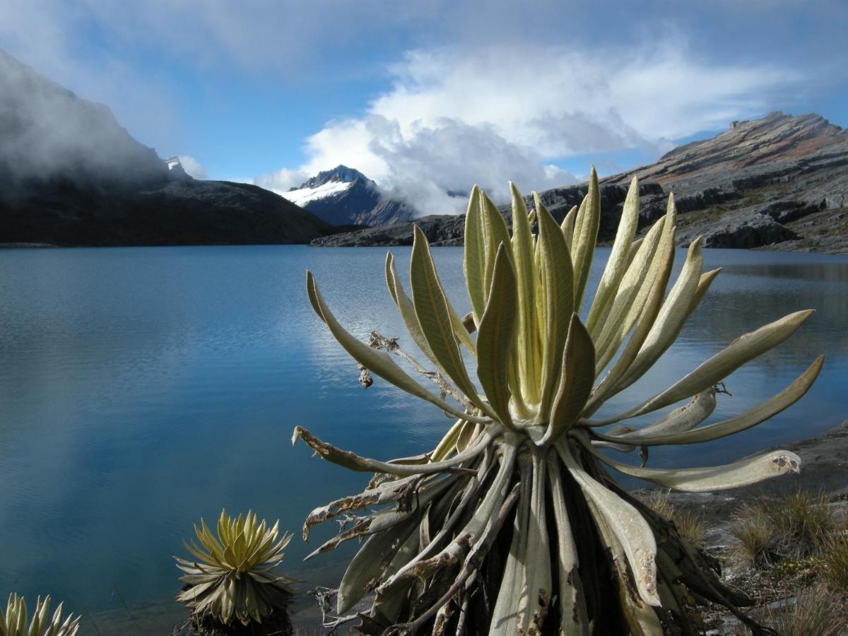 Hostal El Caminante El Cocuy Eksteriør bilde